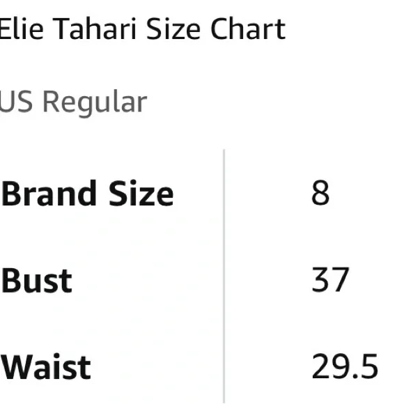 Elie Tahari Dress Rayna Blue Floral Sheer with black liner shell Size 8 NWT - Picture 11 of 12